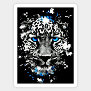 Leopard with blue eyes Sticker